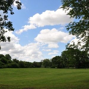 Meet your Posher, Billy